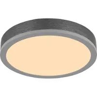 Globo Plafonnier LED, gris, rond, blanc chaud, D 30 cm