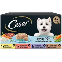 Cesar Multipack Senior Wet Dog Food 6x4x150g Multicolore