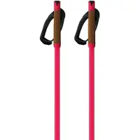 Fischer Storm Gtx M Poles Rose 170 cm