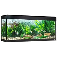 Fluval Roma Led Bluetooth 240l Aquarium Vert