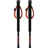 Fischer Junior Poles Noir 80-110 cm Enfants