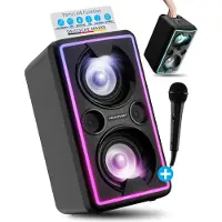Blaupunkt Haut-parleur de fête PS 2000