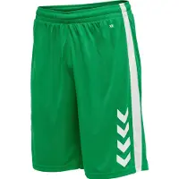 Hummel Pantalon de sport vert gazon / blanc