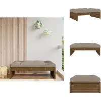 vidaXL Tabouret de jardin Marron miel 120x80 cm Pin massif - éléments de canapé de jardin