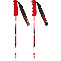 Vola Bâtons Gs Carbon