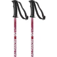Salomon Anodized Junior Poles Vert 70 cm Enfants