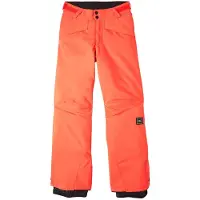 O'Neill Hammer Pants Orange 11-12 Years Garçons,Filles