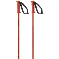 Salomon Polar Poles Orange 105 cm