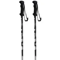 Masters Ca5 Poles Argenté 120 cm