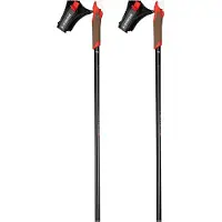 Rossignol Force 3 Poles Argenté 165 cm