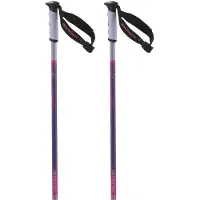 Salomon Arctic S3 Xl Poles Clair 130 cm