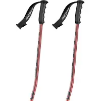 SCOTT Bâtons Team Issue Gs