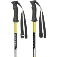 Masters Bâtons Junior Rental Protek
