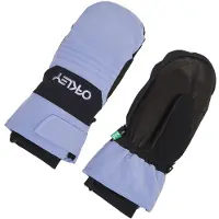Oakley Apparel B1b Mittens Bleu XL Homme