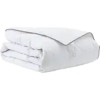 vidaXL Couette d'hiver Blanc 155 x 200 cm Plume