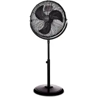 Ufesa Ff-1450 Standing Fan Noir One Size / EU Plug 220V