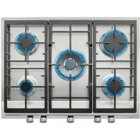 Teka Total Ex 70.1 5g Dr Gas Hob 70 Cm 5 Burners Argenté