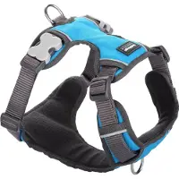 Red Dingo Acolchado Dog Harness Bleu XL