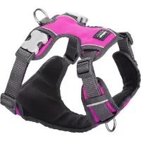 Red Dingo Acolchado Dog Harness Rose S