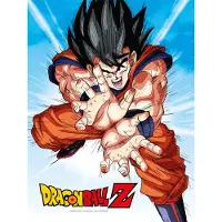 SD Toys - Plakat Szklany Dragon Ball Z Goku Kame - Oficjalny Produkt