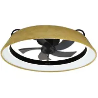 Cecotec Energysilence Lampaero 600 Green Design Ceiling Fan Doré One Size / EU Plug 220V