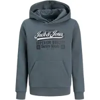 Jack & Jones Sweatshirts à capuche JJELOGO SWEAT HOOD garcons - Gris - 11 ans