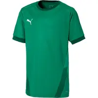 Puma Chemise Teamgoal 23 Jersey 70416005