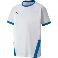 Puma Chemise Teamgoal 23 Jersey 70416012