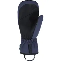 Viking Norvik Pro Ski Mittens Bleu 7 Homme