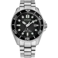 Citizen Seulement le temps Argent Avec Vis Collection Promaster - homme