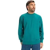 Quiksilver Salt Water Sweatshirt Vert M Homme