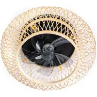 Expo Ventilateur avec lampe Fan.8 bois