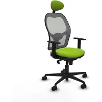 Piqueras Y Crespo Chaise de bureau 1D036N1 couleur pistache