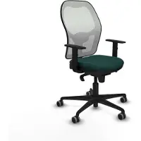 Piqueras Y Crespo Bürostuhl 1D036G0 grün