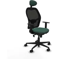 Piqueras Y Crespo Chaise de bureau 1D036N1 vert