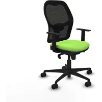 Piqueras Y Crespo Chaise de bureau 1D036N0 couleur pistache
