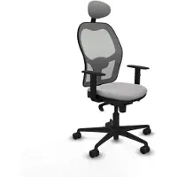 Piqueras Y Crespo Chaise de bureau 1D036N1 gris clair