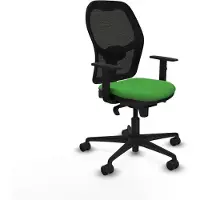 Piqueras Y Crespo Bürostuhl 1D036N0 grün