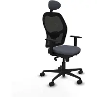 Piqueras Y Crespo Chaise de bureau 1D036N1 gris foncé