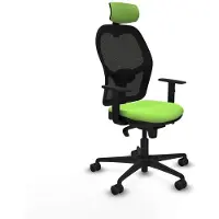 Piqueras Y Crespo Chaise de bureau 1D036N2 couleur pistache