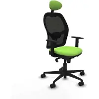 Piqueras Y Crespo Chaise de bureau 1D036N1 couleur pistache