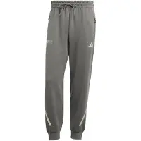 Adidas Pantalon de sport 'Mercedes-AMG Petronas F1 Team' gris / gris clair