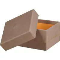 Rhodia Home office Rhodiarama (34 cm, 5x)