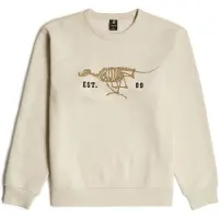G-Star pour homme. D27095-D733-1603 Pull beige à dos de chien de course (L), Casuel, Coton