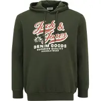 Jack & Jones Logo 2 Plus Size Hoodie Vert 5XL Homme