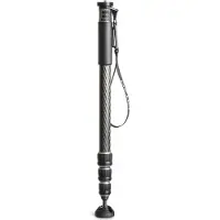 Gitzo Monopode GM2542 Carbone eXact Série 2