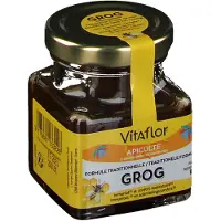 Vitaflor préparation pour grog 100 g Sirop