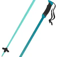 Atomic Redster X Sqs Poles Bleu 110 cm