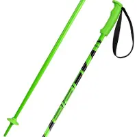 Elan Hotrod Poles Vert 115 cm