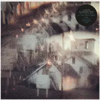 Bertus Distributie Lights Fluorescent - The Oldest Sons Of The Oldest Sons [Vinyl Lp]